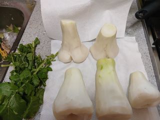 나비의정원님의 자유주제 · 건의해요 작성글 사진