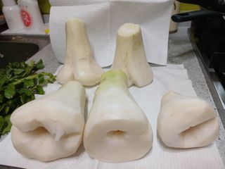 나비의정원님의 자유주제 · 건의해요 작성글 사진