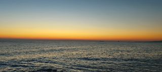 둥이농장(김준태)님의 자유주제 · 자유게시판 작성글 사진