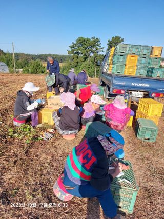 농촌의지킴님의 자유주제 · 자유게시판 작성글 사진