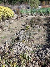 팜모닝 자유주제·자유게시판 게시글 이미지