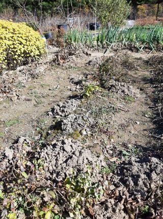 강물처럼님의 자유주제 · 자유게시판 작성글 사진