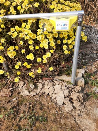 강물처럼님의 자유주제 · 자유게시판 작성글 사진