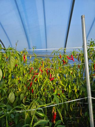 유성재님의 겨울 대비 어떻게 하셨나요 · 참여글 작성글 사진