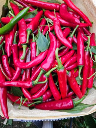 유성재님의 겨울 대비 어떻게 하셨나요 · 참여글 작성글 사진