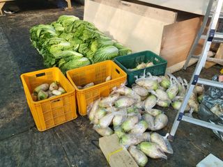 들꽃농장님의 자유주제 · 자유게시판 작성글 사진