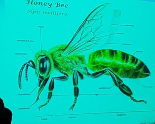 여우내 이순홍님의 자유주제 · 자유게시판 작성글 사진