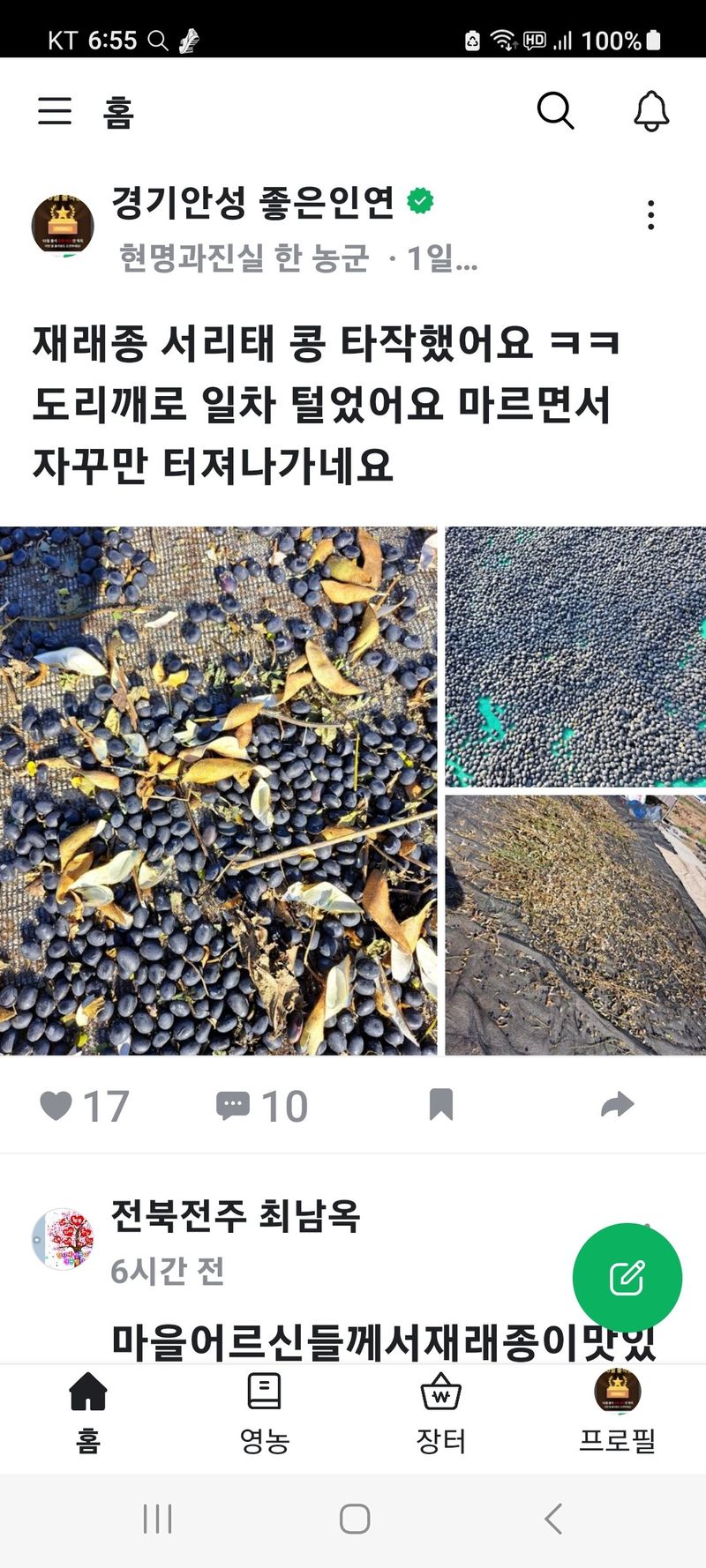 장터 상품 [서리태콩] 썸네일