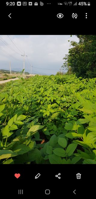 오아성님의 작성글 사진