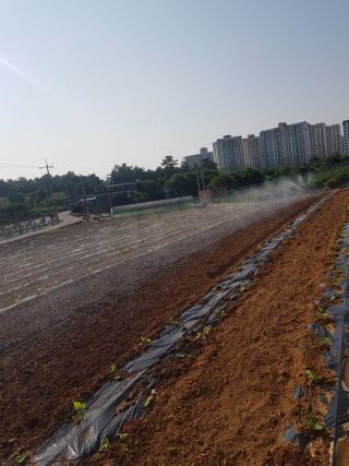 오아성님의 작성글 사진