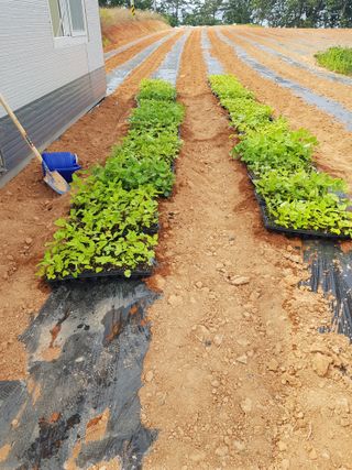 오아성님의 작성글 사진