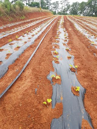 오아성님의 작성글 사진