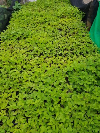 오아성님의 작성글 사진