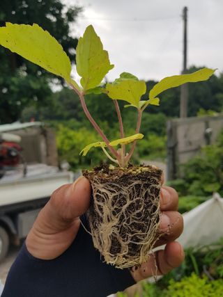 오아성님의 작성글 사진