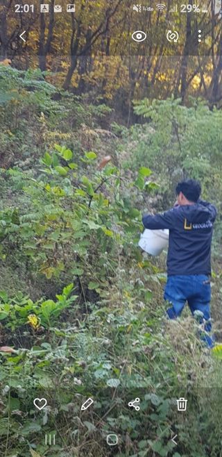 오아성님의 작성글 사진