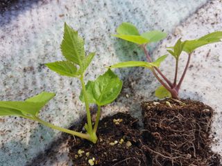 오아성님의 작성글 사진