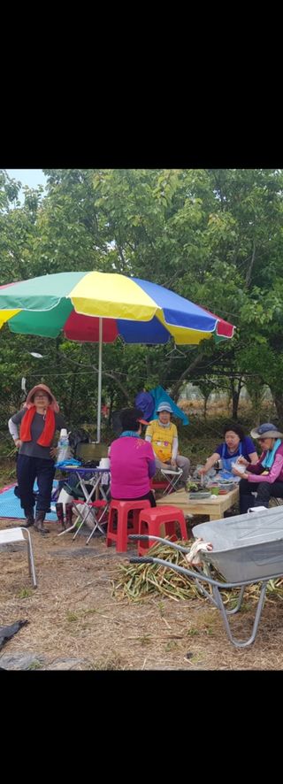 오아성님의 작성글 사진