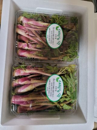 오아성님의 작성글 사진