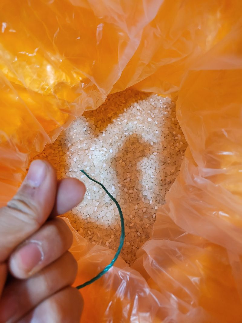 김영진(전남영광)님의 장터 판매 상품 [누룽지향쌀 20kg] 첨부 사진