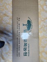 팜모닝 사과·묘목•접목 게시글 이미지