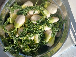 이상애초보농업님의 자유주제 · 자유게시판 작성글 사진