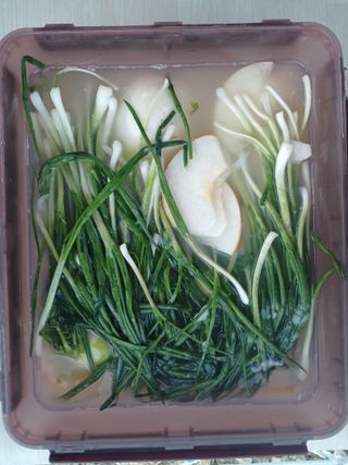 이상애초보농업님의 자유주제 · 자유게시판 작성글 사진