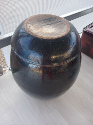 이상애초보농업님의 자유주제 · 자유게시판 작성글 사진