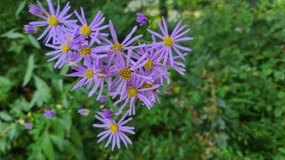 감자16337님의 자유주제 · 사진전 작성글 사진