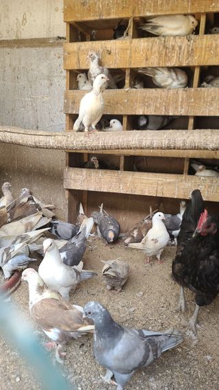 감자16337님의 자유주제 · 사진전 작성글 사진