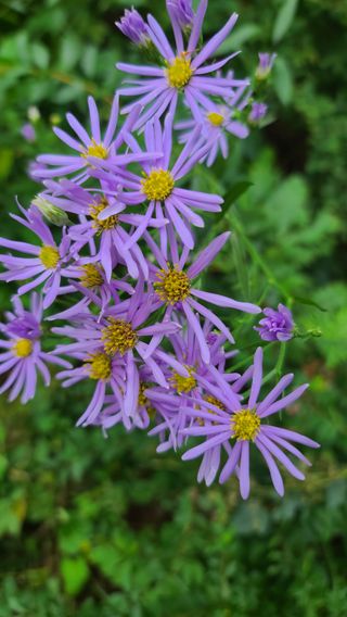 감자16337님의 자유주제 · 사진전 작성글 사진