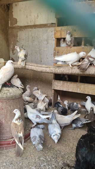 감자16337님의 자유주제 · 사진전 작성글 사진