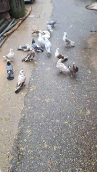 감자16337님의 자유주제 · 사진전 작성글 사진