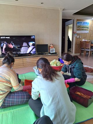 정자형님의 배추 · 품종•종자 작성글 사진