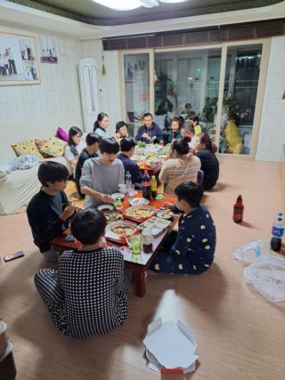 정자형님의 배추 · 품종•종자 작성글 사진