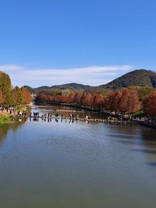 정자형님의 고추 · 일상 작성글 사진