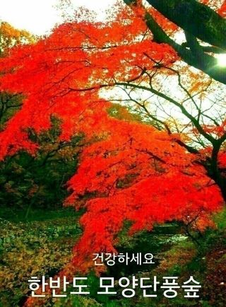 정자형님의 고추 · 일상 작성글 사진