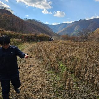 백용기님의 자유주제 · 자유게시판 작성글 사진