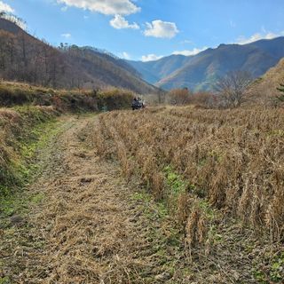 백용기님의 자유주제 · 자유게시판 작성글 사진