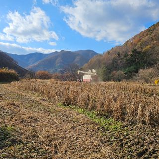 백용기님의 자유주제 · 자유게시판 작성글 사진