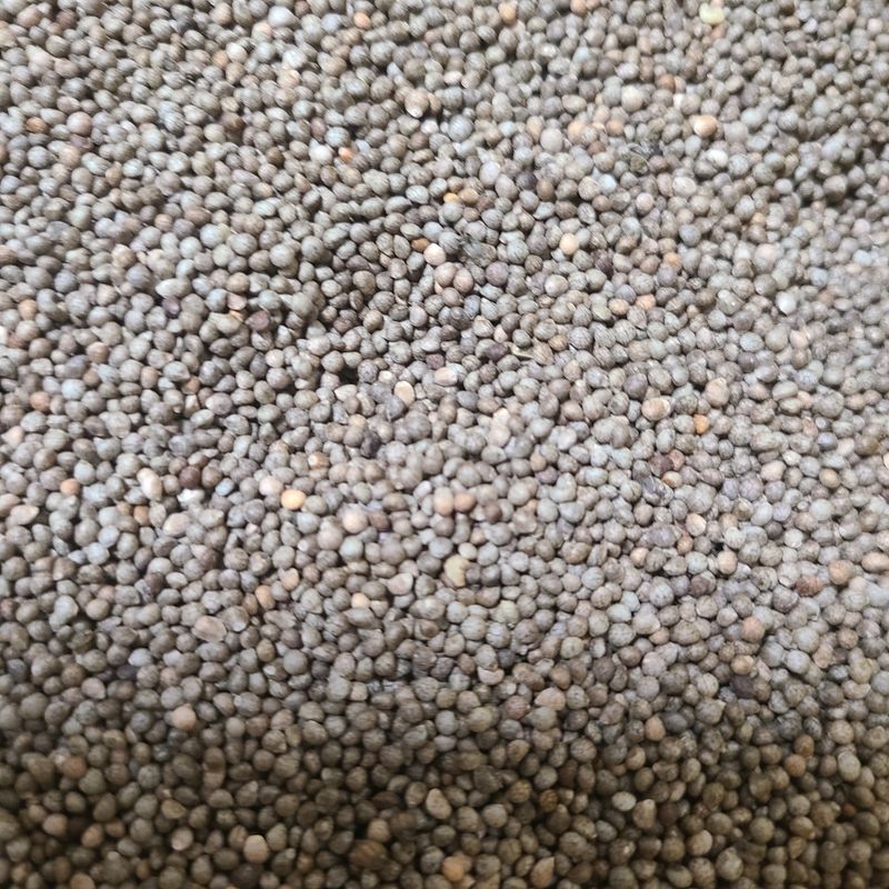 장터 상품 [들깨 ] 썸네일