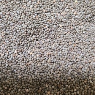 자생님의 작성글 사진