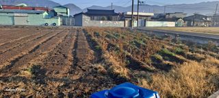 사천시향촌동 돼지띠님의 자유주제 · 자유게시판 작성글 사진