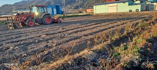 사천시향촌동 돼지띠님의 자유주제 · 자유게시판 작성글 사진