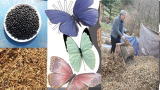 농산물에 진심구병안님의 11월 내 작물 자랑하기 · 참여글 작성글 사진