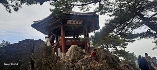 사천시향촌동 돼지띠님의 자유주제 · 자유게시판 작성글 사진