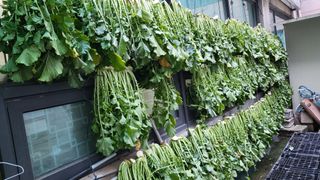 이종선님의 기타작물 · 자유게시판 작성글 사진