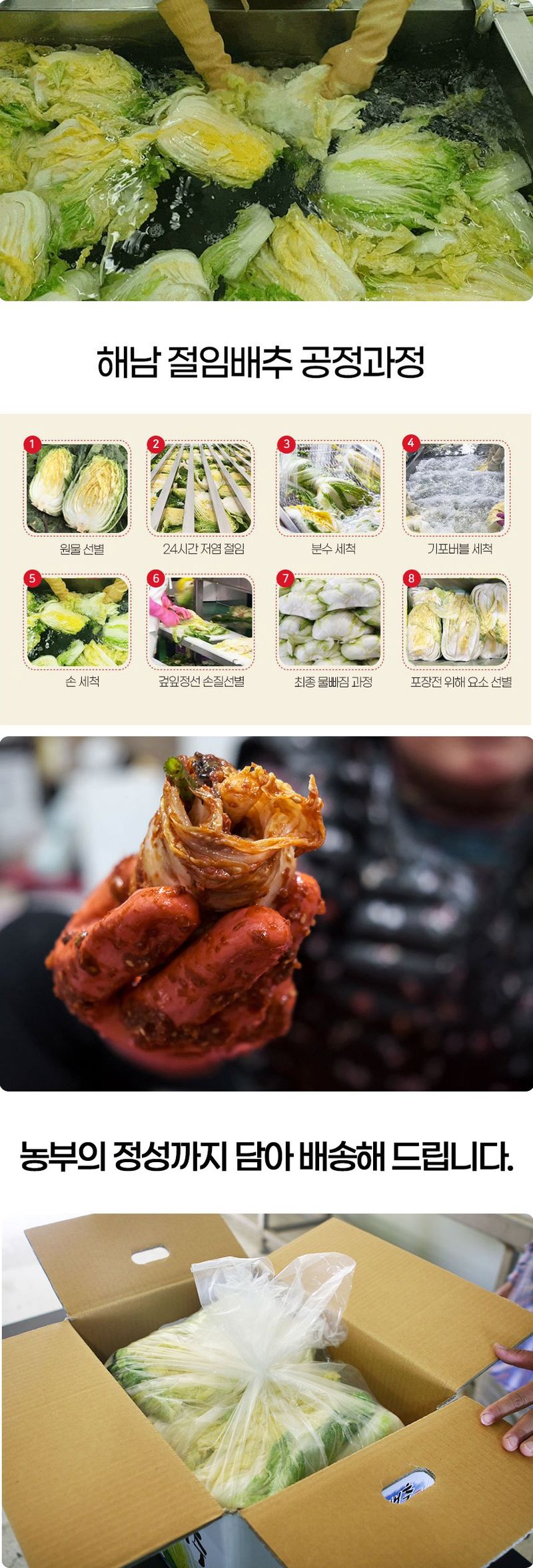 금호농장님의 장터 판매 상품 [해남 친환경 무농약 절임배추 90일 재배 24시간 신안 천일염 저염 절임배추 20kg] 첨부 사진