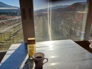 알 수 없음님의 자유주제 · 자유게시판 작성글 사진