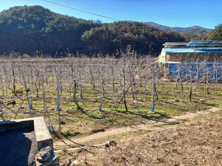 알 수 없음님의 사과 · 토양준비 작성글 사진