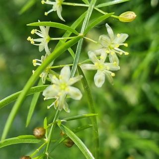 이창신님의 11월 내 작물 자랑하기 · 참여글 작성글 사진